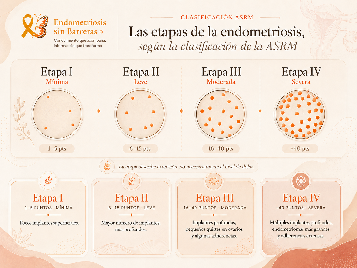 Las etapas de la endometriosis según la clasificación ASRM